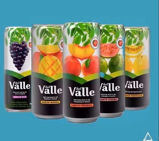 SUCOS SABORES LATA 290ML